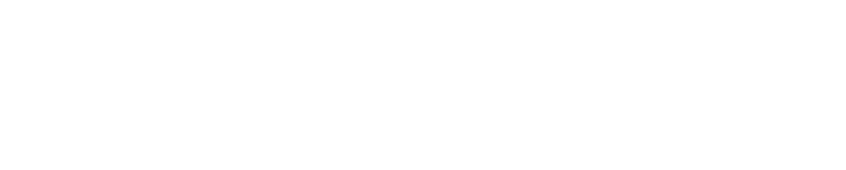 logo light